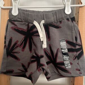 Zara Kids Shorts (18-24m)